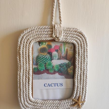 Chambre Chez L'Habitant "Cactus" Une, Deux Ou Trois Personnes Derval Exteriör bild